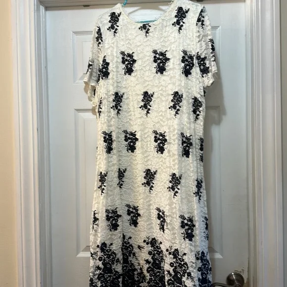 The Limited | Dresses | White Lace With Blue Flowers Short Sleeve Never  Worn | Poshmark